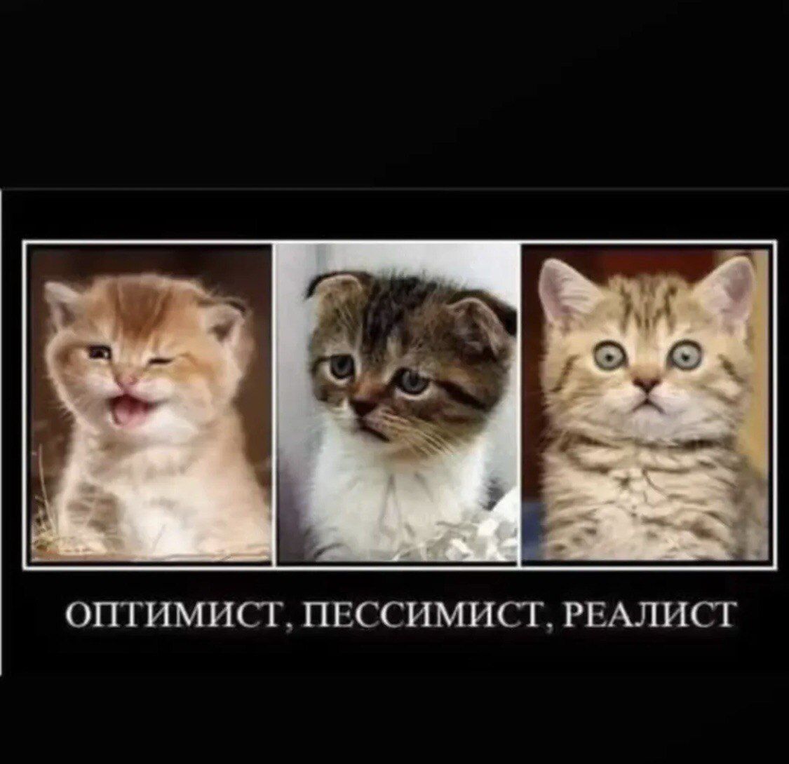 ОПТИМИСТ, ПЕССИМИСТ, РЕАЛИСТ