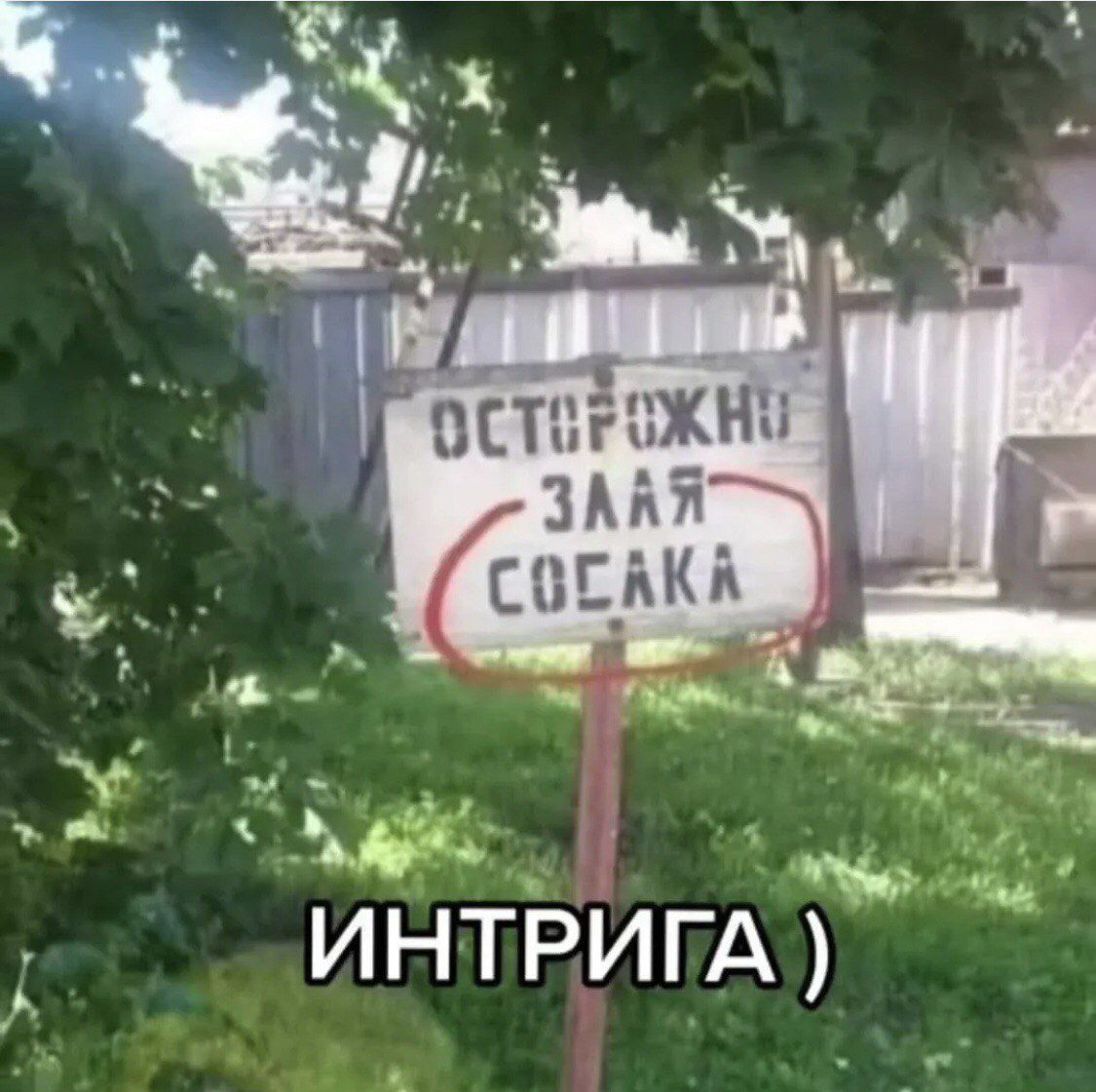 ОСТОРОЖНО ЗЛАЯ СОСАКА