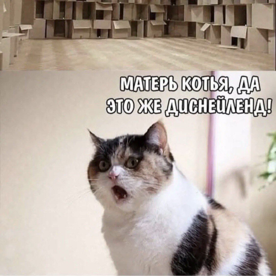 МАТЕРЬ КОТЬЯ, ДА ЭТО ЖЕ ДИСНЕЙЛЭНД!