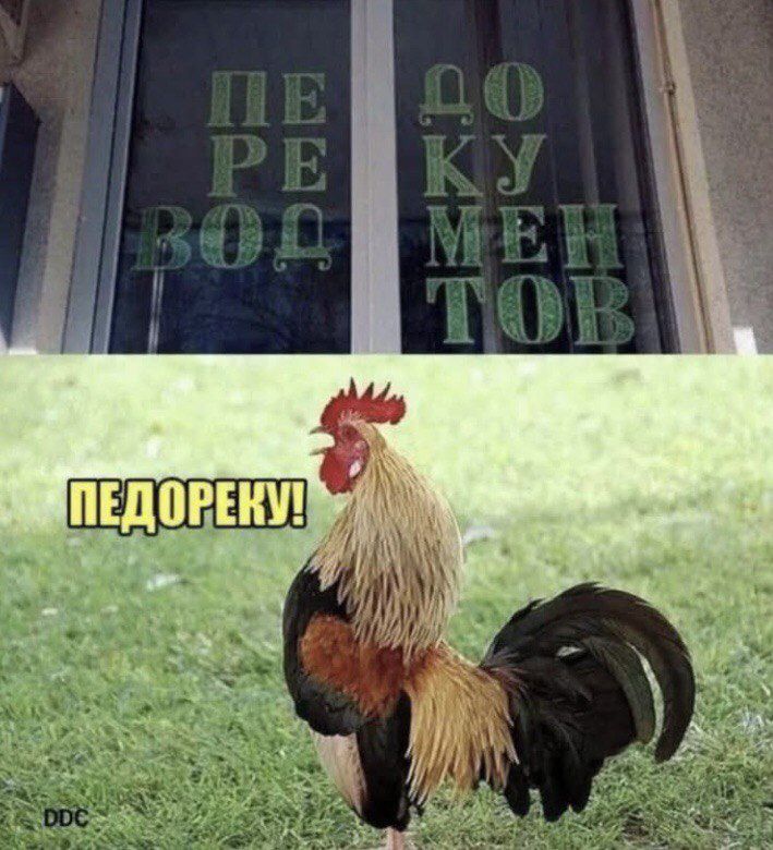 ПЕРЕВОЗ ДОКУМЕНТОВ
ПЕДОРЕКУ!