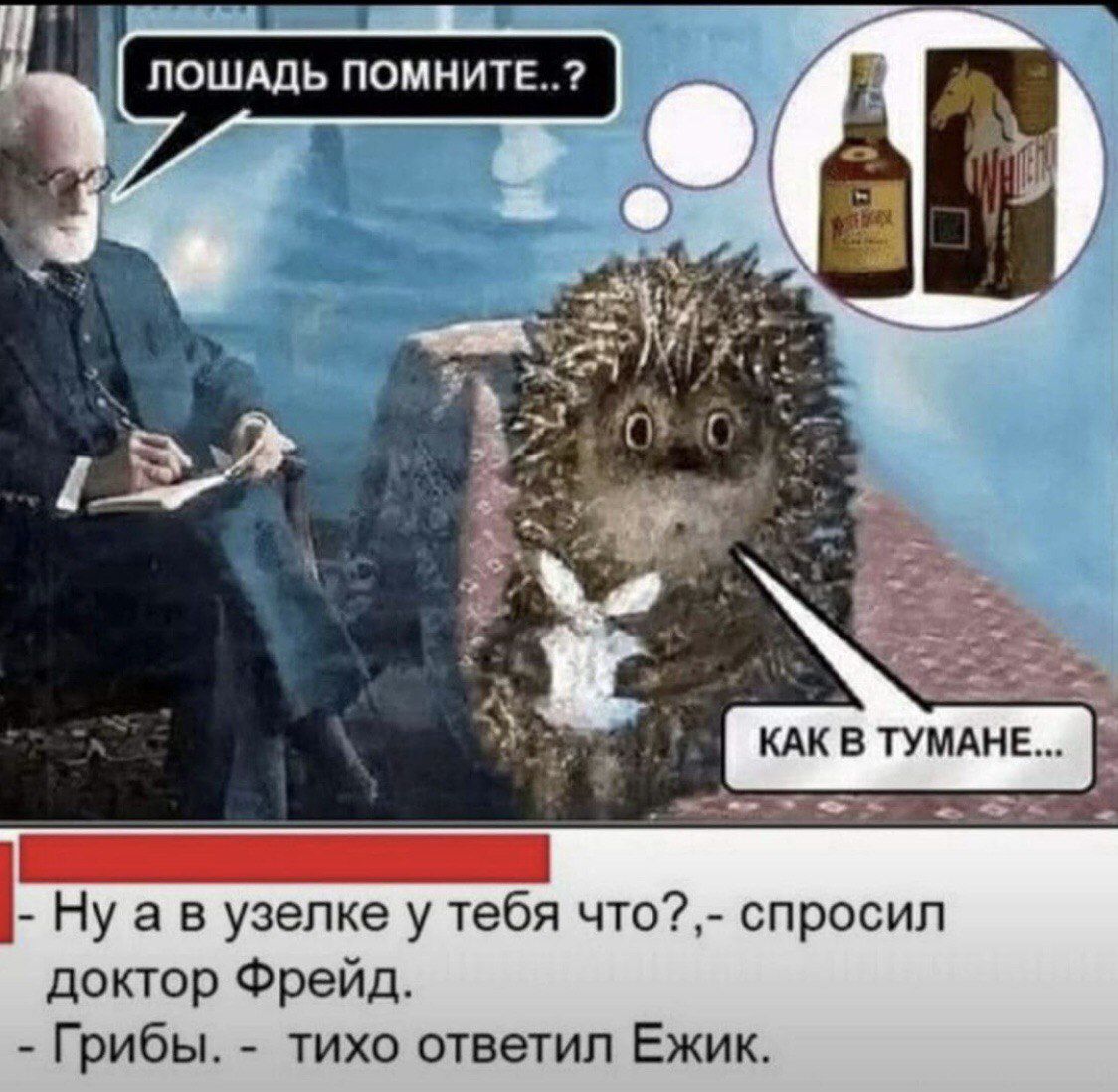 ЛОШАДЬ ПОМНИТЕ..? - Ну а в узелке у тебя что?, - спросил доктор Фрейд. - Грибы. - тихо ответил Ежик.