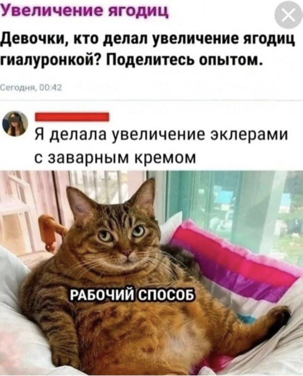 Увеличение ягодиц
Девочки, кто делал увеличение ягодиц гиалуронкой? Пожалуйста, поделитесь опытом.
Сегодня, 00:42
Я делала увеличение эклерами с заварным кремом
РАБОЧИЙ СПОСОБ
