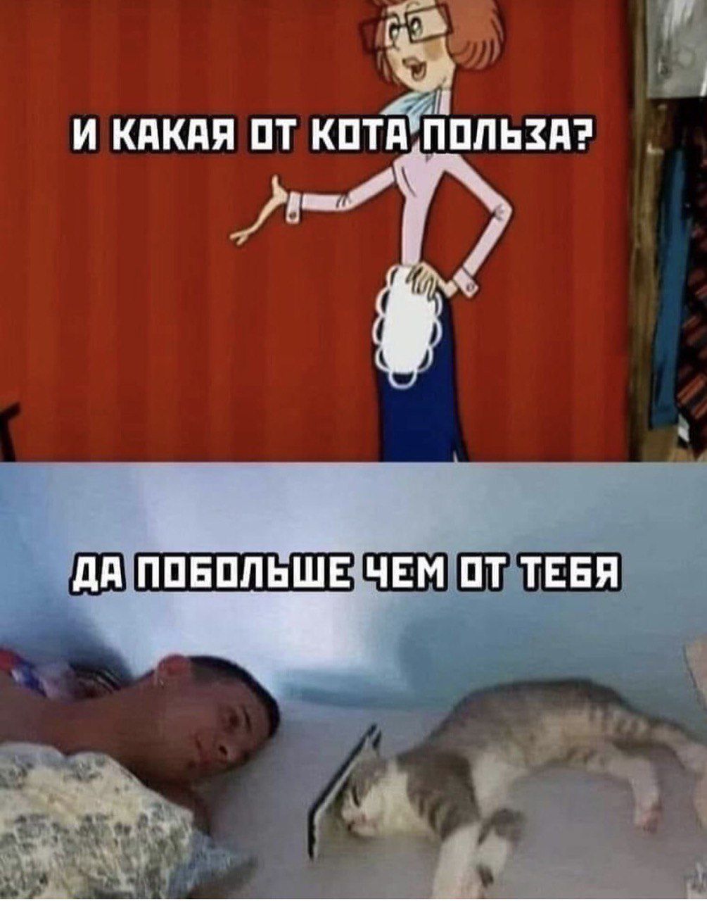 И какая от кота польза? Да побольше чем от тебя