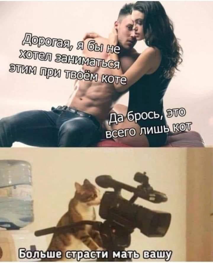Дорогая, я бы не хотел заниматься этим при твоём коте
Да брось, это всего лишь кот
Больше страсти мать вашу
