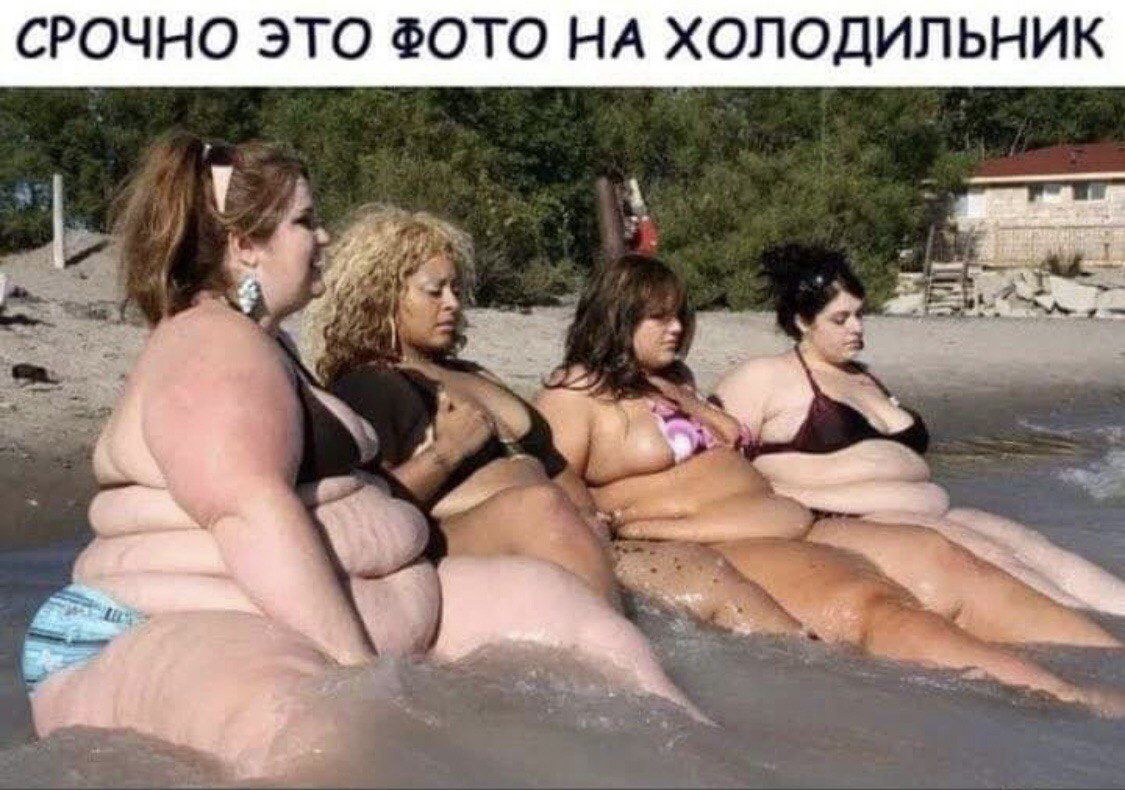 СРочно это фото на холодильник