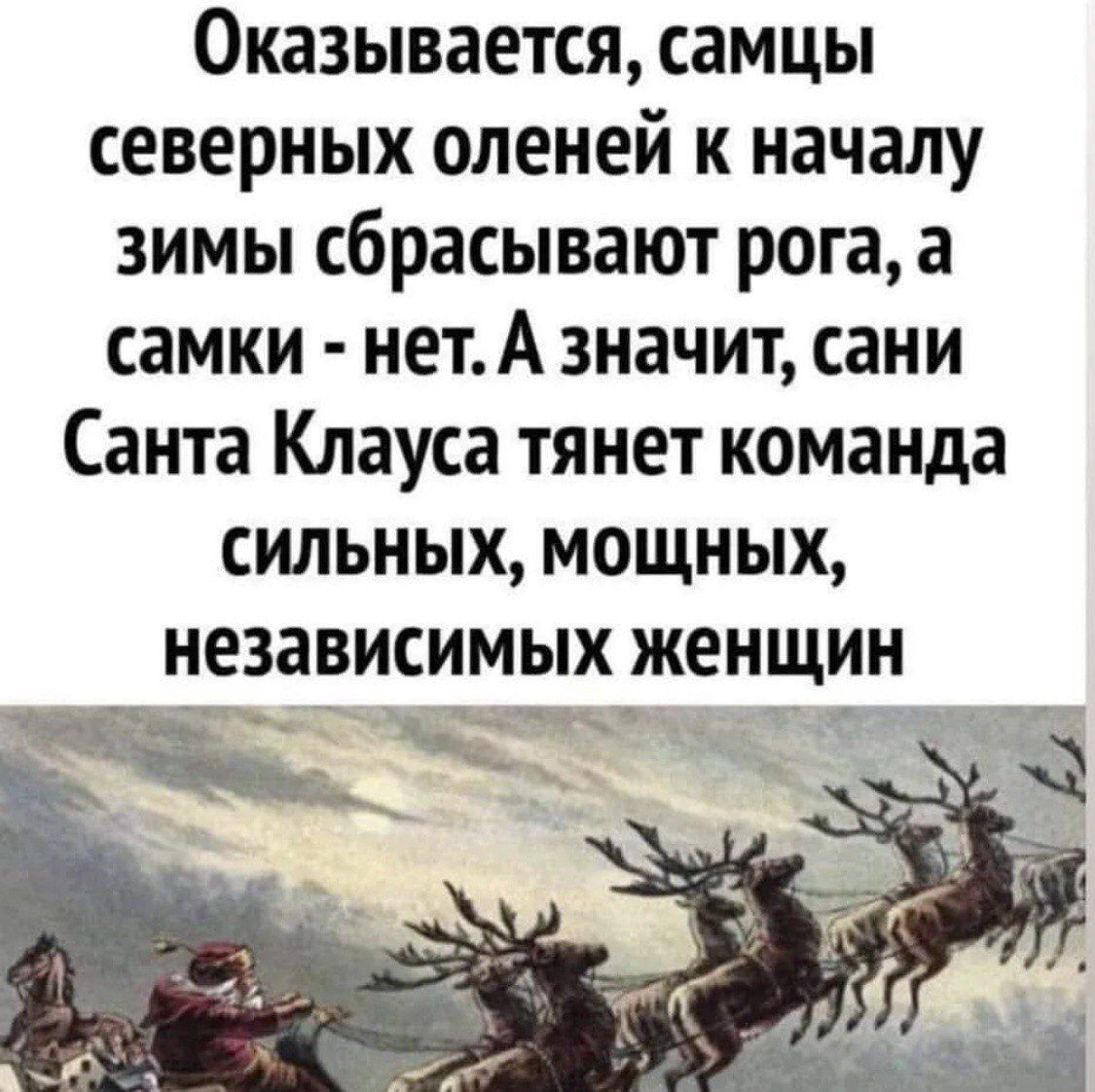 Оказывается, самцы северных оленей к началу зимы сбрасывают рога, а самки - нет. А значит, сани Санта Клауса тянут команда сильных, мощных, независимых женщин.