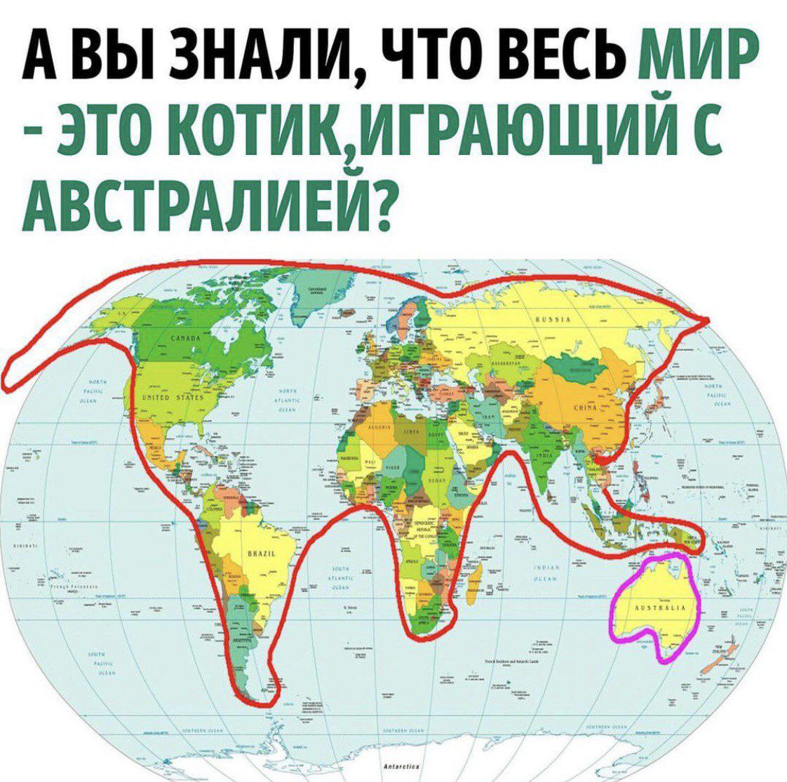 А ВЫ ЗНАЛИ, ЧТО ВЕСЬ МИР - ЭТО КОТИК, ИГРАЮЩИЙ С АВСТРАЛИЕЙ?