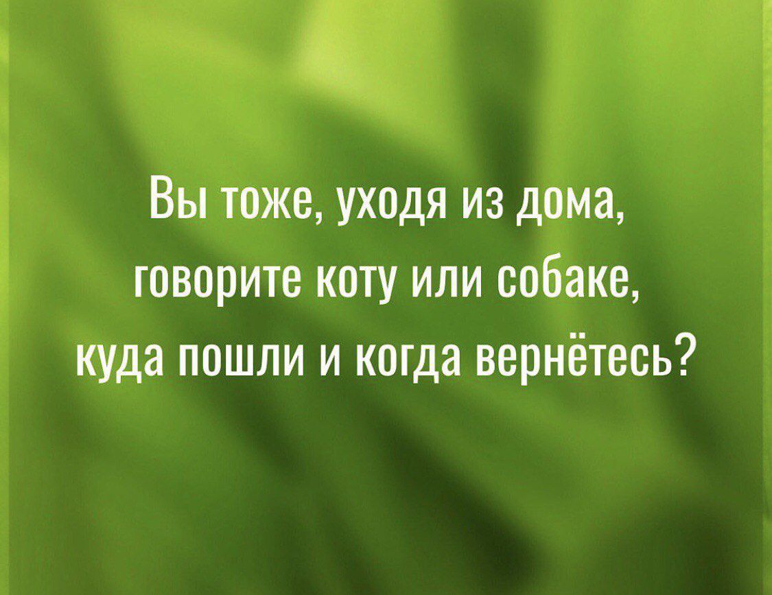 Вы тоже, уходя из дома, говорите коту или собаке, куда пошли и когда вернётесь?
