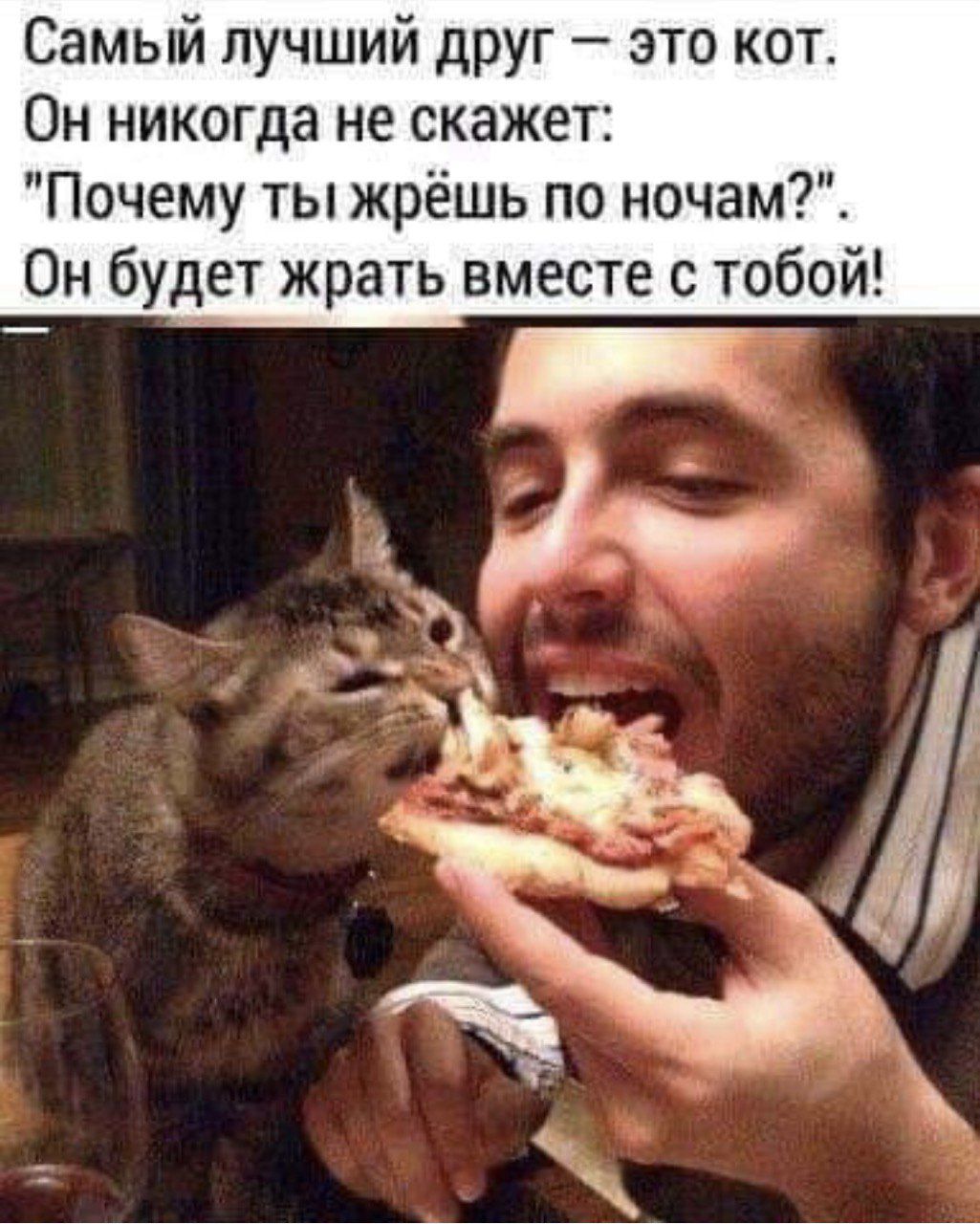 Самый лучший друг – это кот. Он никогда не скажет: 