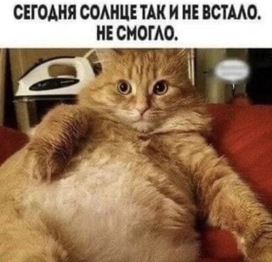 СЕГОДНЯ СОЛНЦЕ ТАК И НЕ ВСТАЛО. НЕ СМОГЛО.
