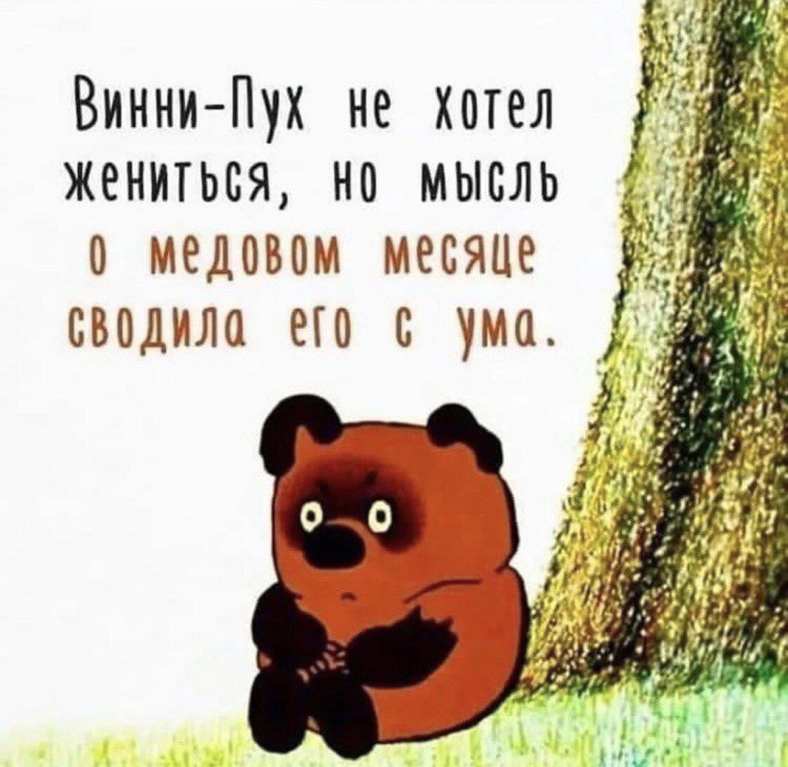 Винни-Пух не хотел жениться, но мысль о медовом месяце сводила его с ума.