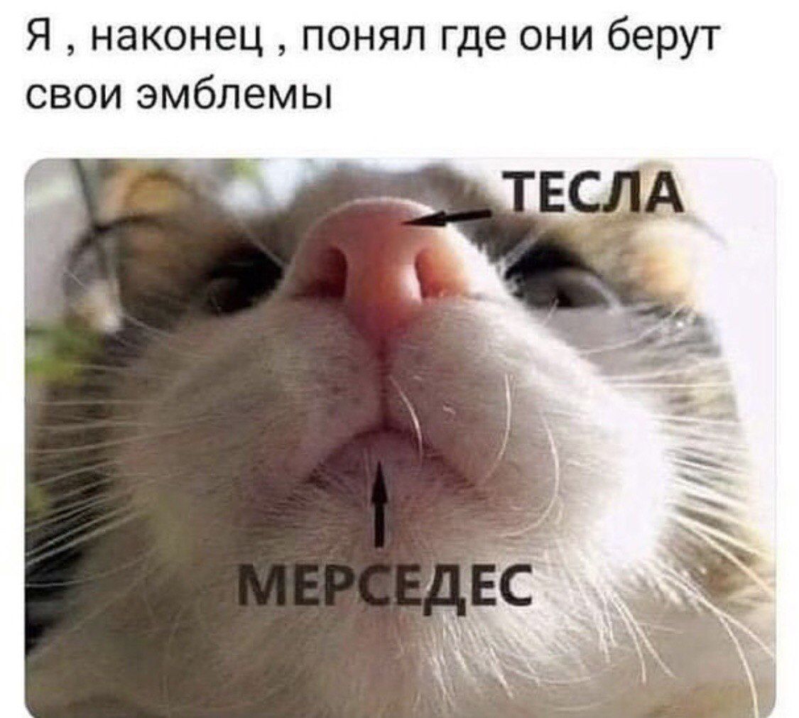Я , наконец , понял где они берут свои эмблемы ТЕСЛА МЕРСЕДЕС