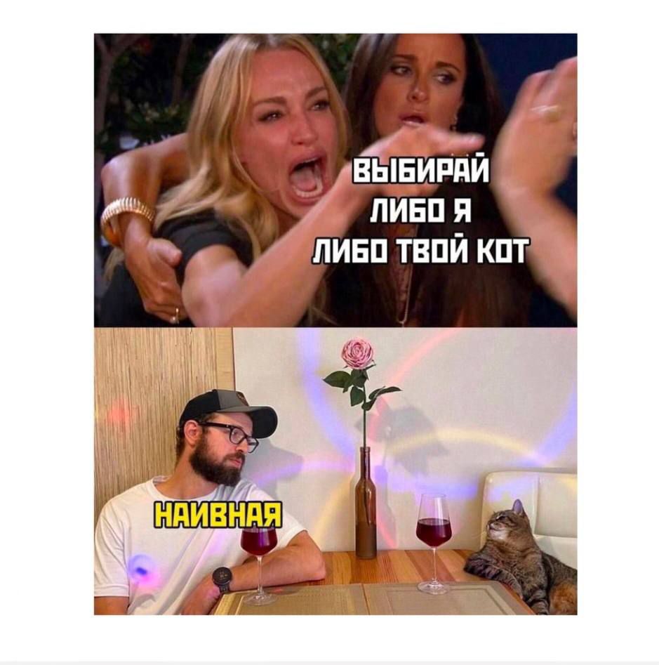 ВЫБИРАЙ ЛИБО Я ЛИБО ТВОЙ КОТ
НАИВНАЯ