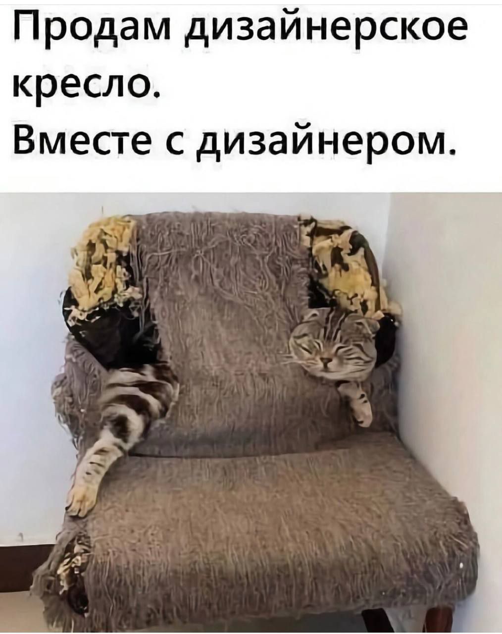 Продам дизайнерское кресло.
Вместе с дизайнером.