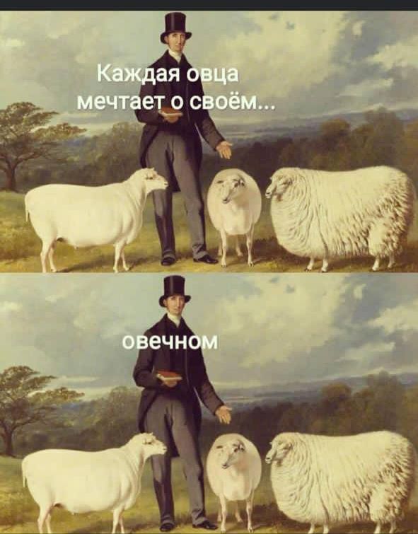 Каждая овца мечтает о своём...
овечном