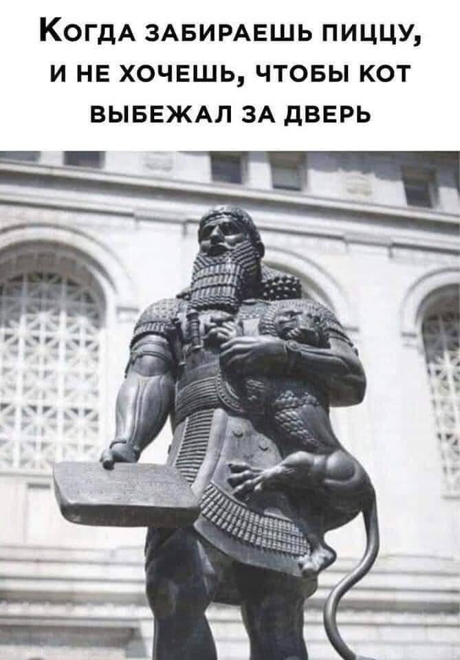 Когда забираешь пиццу, и не хочешь, чтобы кот выбежал за дверь