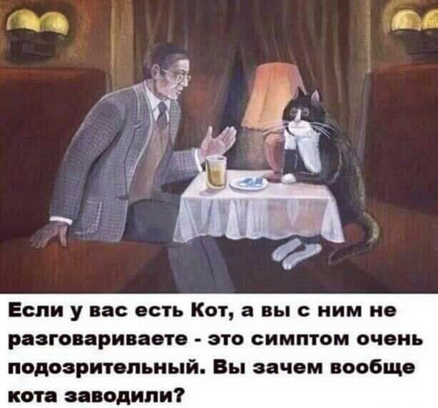 Если у вас есть Кот, а вы с ним не разговариваете - это симптом очень подозрительный. Вы зачем вообще кота завели?