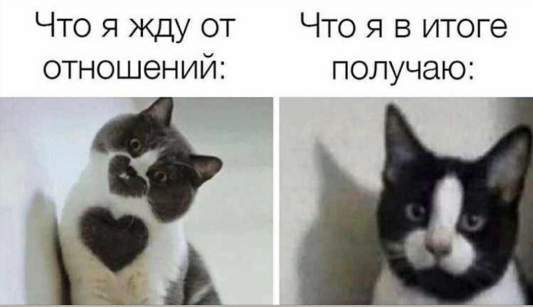 Что я жду от отношений:
Что я в итоге получаю: