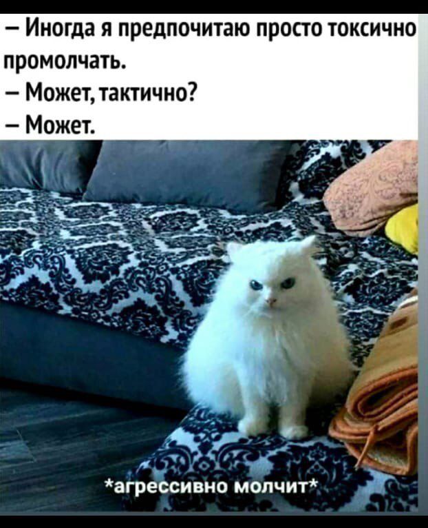 Иногда я предпочитаю просто токсично промолчать.
– Может, тактично?
– Может.
*агрессивно молчит*