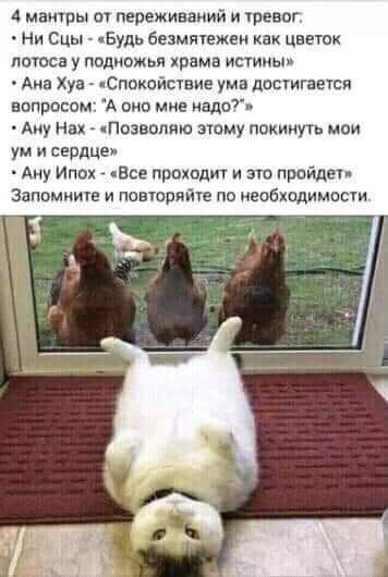 4 мантры от переживаний и тревог:
• Ни Сыц - «Будь безмятежен как цветок лотоса у подножья храма истины»
• Ана Хуа - «Спокойствие ума достигается вопросом: “А оно мне надо?”
• Ану Нах - «Позволяю этому покинуть мои ум и сердце»
• Аню Илох - «Все проходит и это пройдет»
Запомните и повторяйте по необходимости.