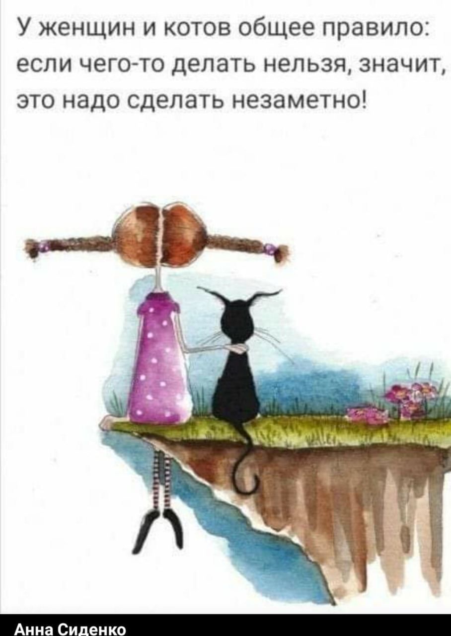 У женщин и котов общее правило: если чего-то делать нельзя, значит, это надо сделать незаметно!