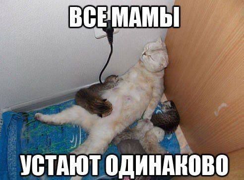 ВСЕ МАМЫ УСТАЮТ ОДИНАКОВО