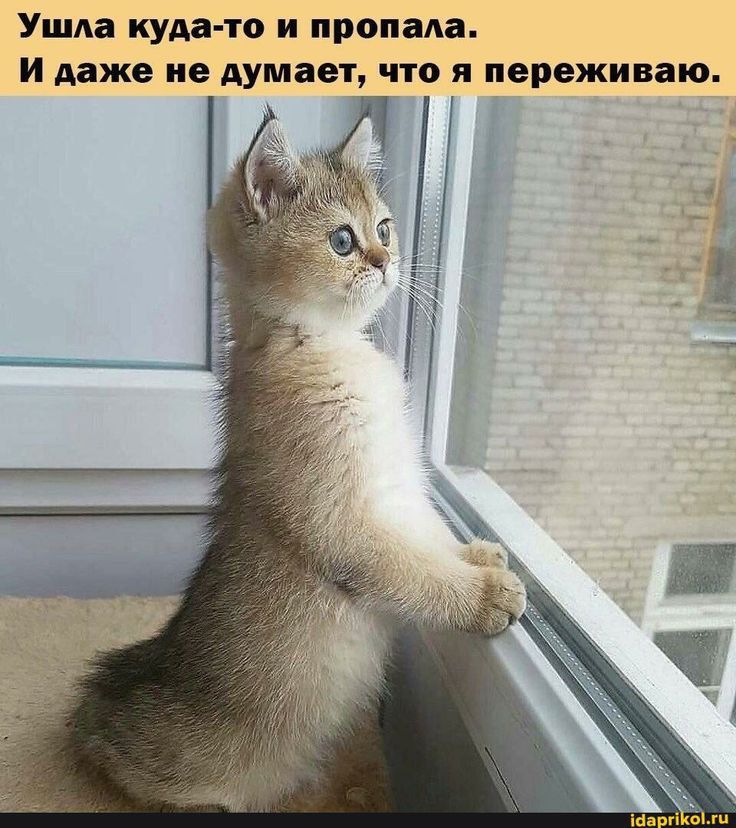 Ушла куда-то и пропала. И даже не думает, что я переживаю.