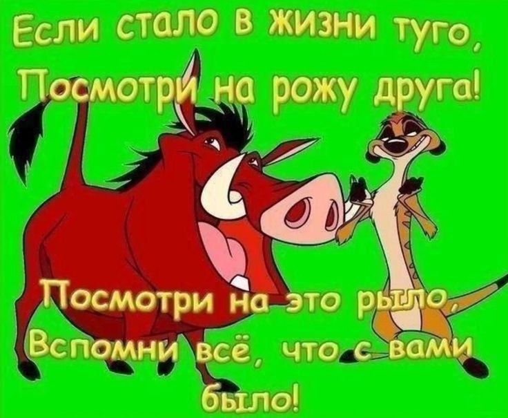 Если стало в жизни туго, Посмотрю на рожу друга! Посмотри на это рыло. Вспомни всё, что с вами было!