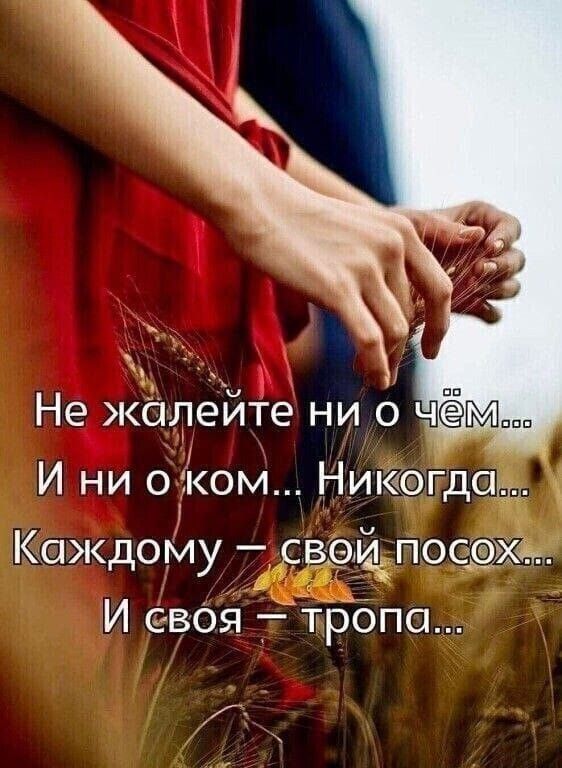 Не жалейте ни о чём... И ни о ком.. Никогда... Каждому – свой посох... И своя – тропа...