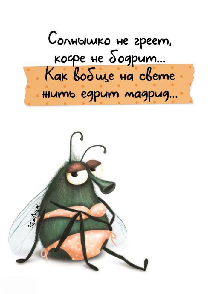 Солнышко не греет, кофе не бодрит... Как вообще на свете нить ерит тадри...