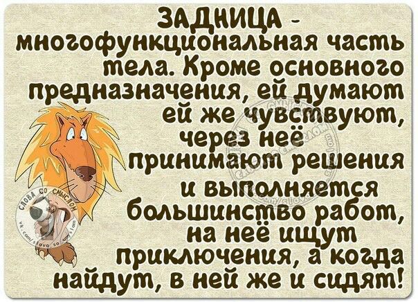 ЗАДНИЦА - многофункциональная часть тела. Кроме основного предназначения, ей думают, её же чувствуют, через неё принимают решения и выполняется большинство работ, на неё ищут приключения, а когда найдут, в ней же и сидят!