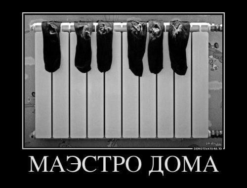 МАЭСТРО ДОМА