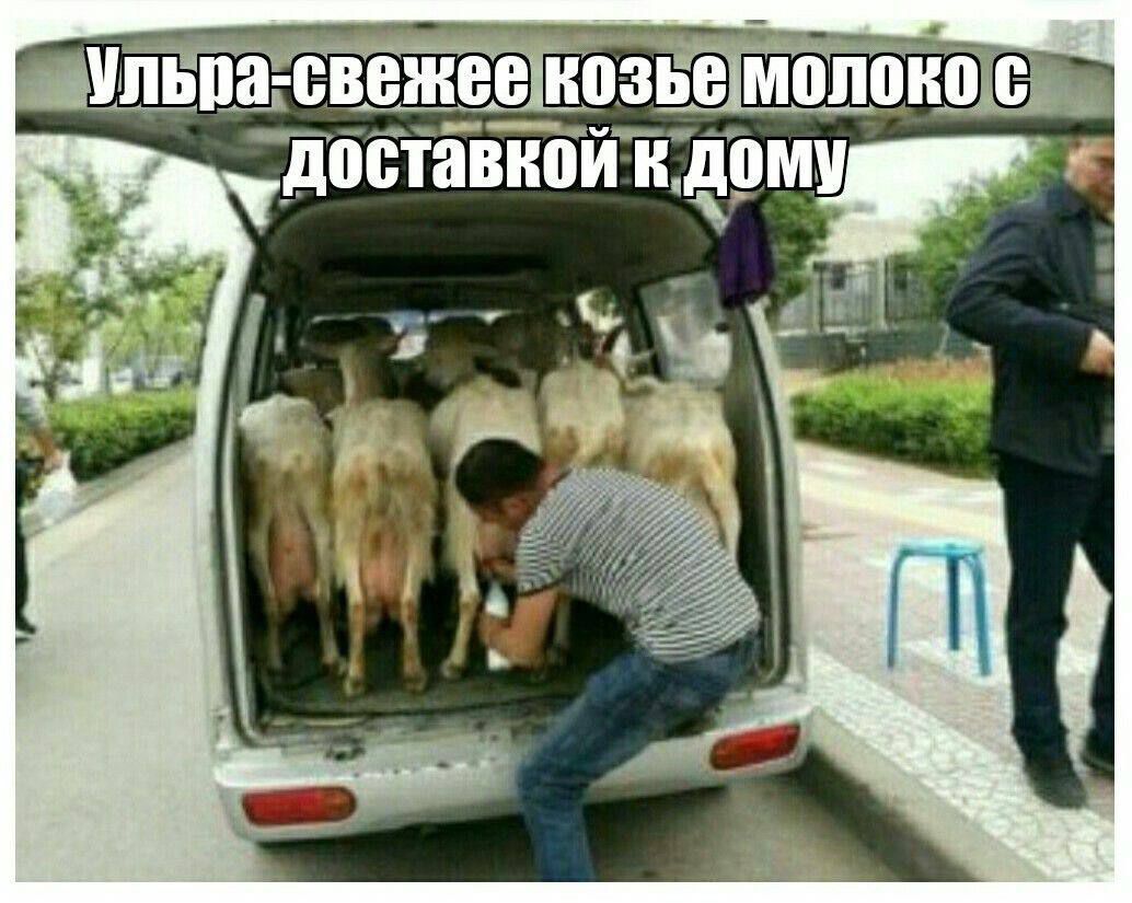 Ульра-свежее козье молоко с доставкой к дому