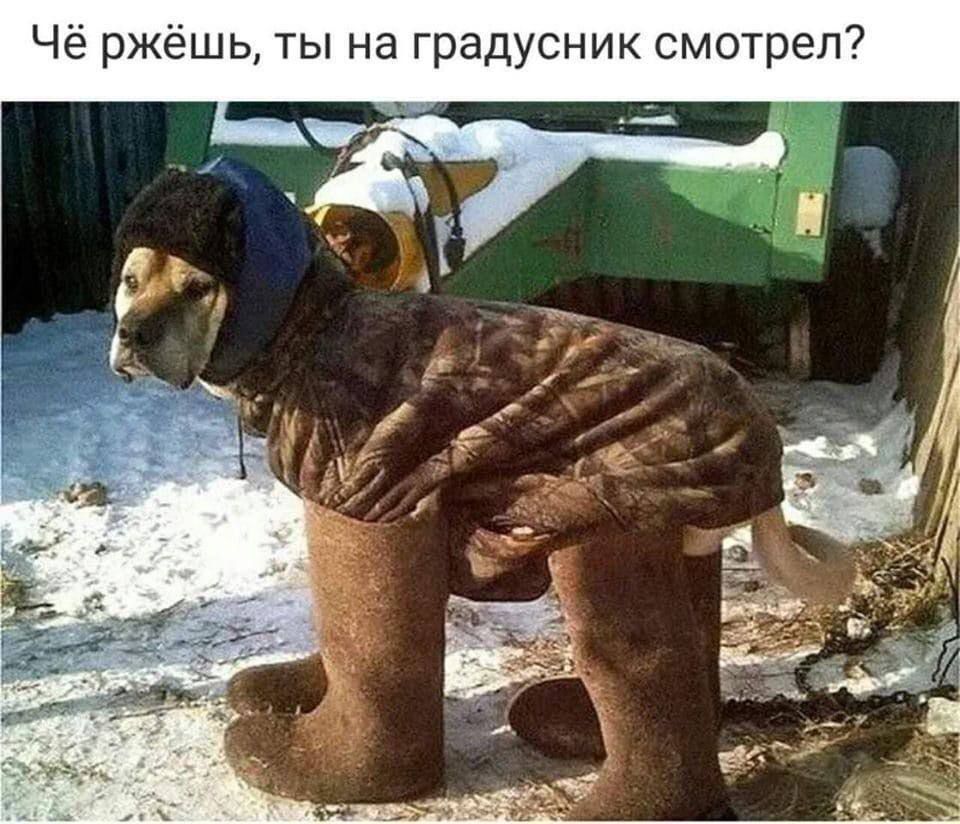 Чё ржёшь, ты на градусник посмотрел?