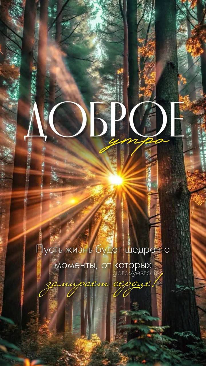Доброе утро
Пусть жизнь будет щедра на моменты, от которых замирает сердце!