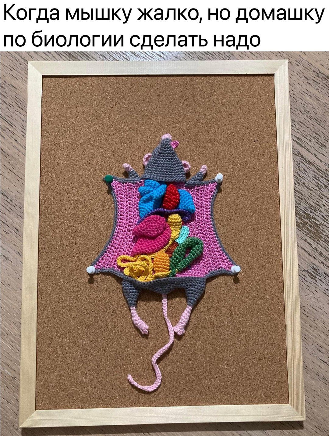 Когда мышку жалко, но домашку по биологии сделать надо