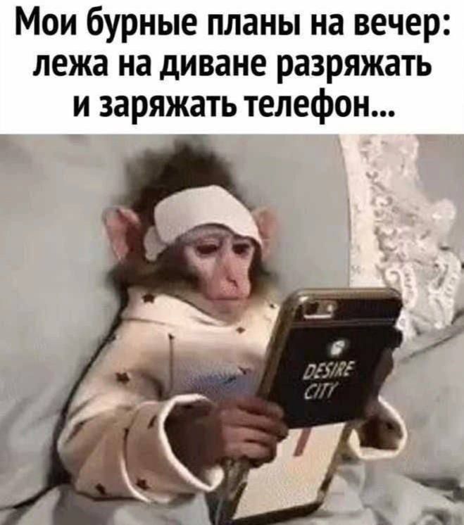Мои бурные планы на вечер: лежа на диване разряжать и заряджат телефон...