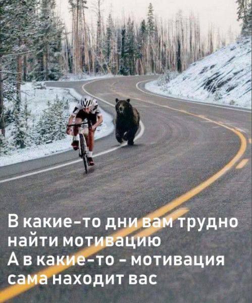 В какие-то дни вам трудно найти мотивацию, а в какие-то — мотивация сама находит вас