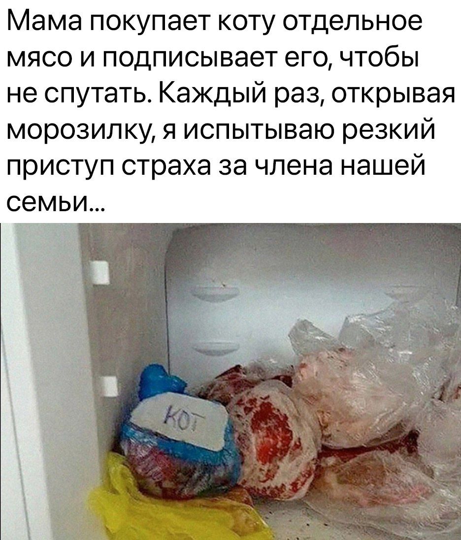 Мама покупает коту отдельное мясо и подписывает его, чтобы не спутать. Каждый раз, открывая морозилку, я испытываю резкий приступ страха за члена нашей семьи…
