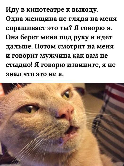 Иду в кинотеатре к выходу. Одна женщина не глядя на меня спрашивает это ты? Я говорю я. Она берет меня под руку и идет дальше. Затем смотрит на меня и говорит мужчина как вам не стыдно! Я говорю извиниете, я не знал что это не я.