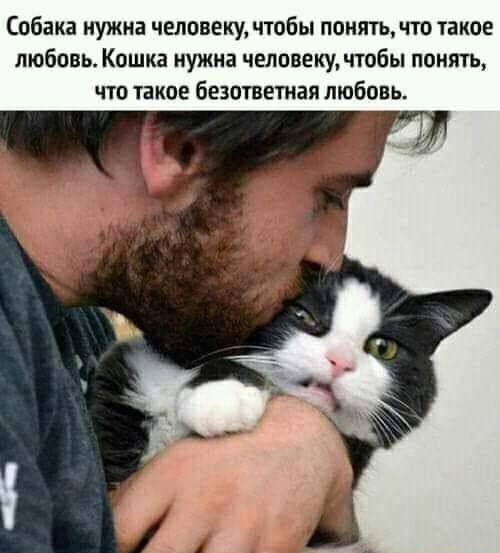 Собака нужна человеку, чтобы понять, что такое любовь. Кошка нужна человеку, чтобы понять, что такое безответная любовь.