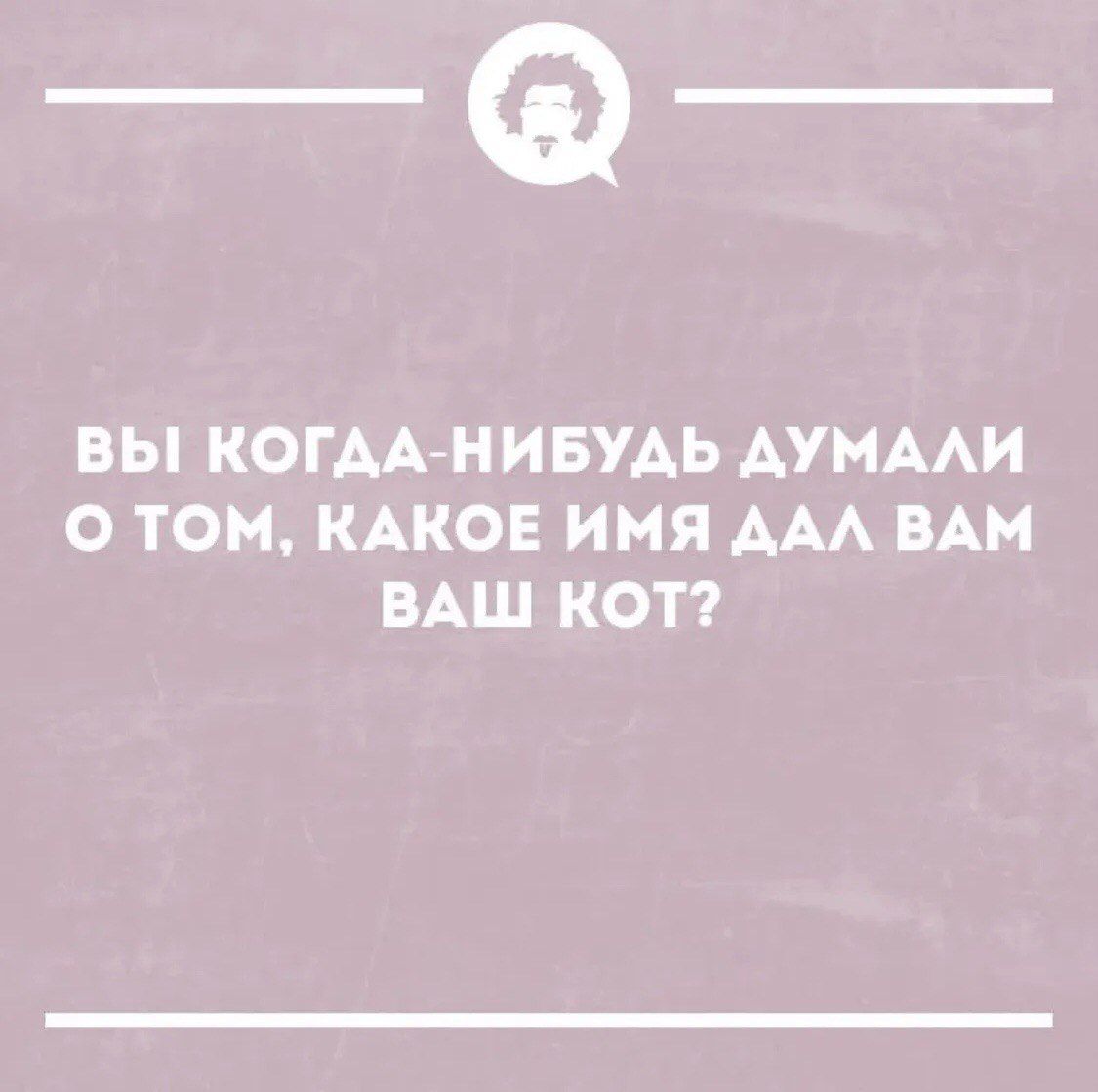 ВЫ КОГДА-НИБУДЬ ДУМАЛИ О ТОМ, КАКОЕ ИМЯ ДАЛ ВАМ ВАШ КОТ?