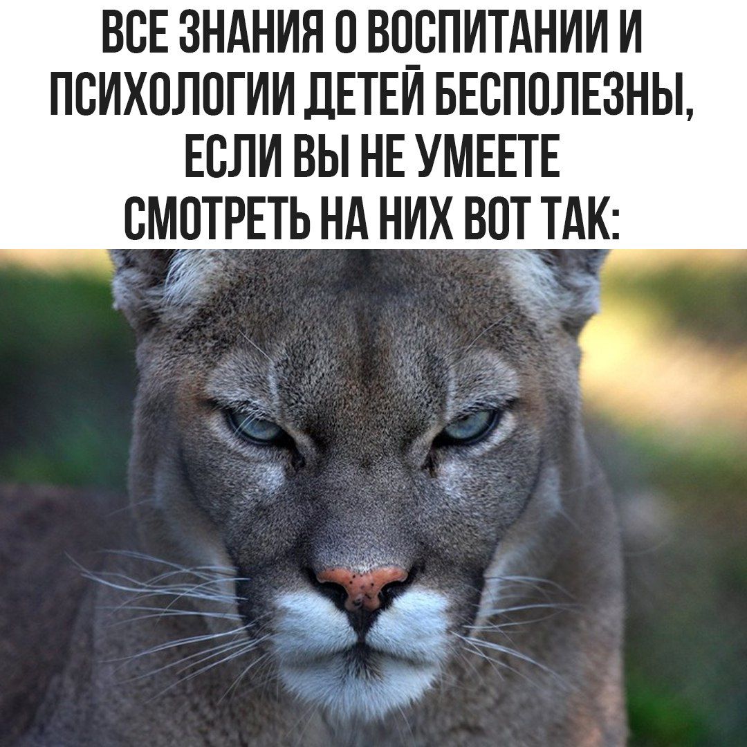 ВСЕ ЗНАНИЯ О ВОСПИТАНИИ И ПСИХОЛОГИИ ДЕТЕЙ БЕСПОЛЕЗНЫ, ЕСЛИ ВЫ НЕ УМЕТЕ СМОТРЕТЬ НА НИХ ВОТ ТАК: