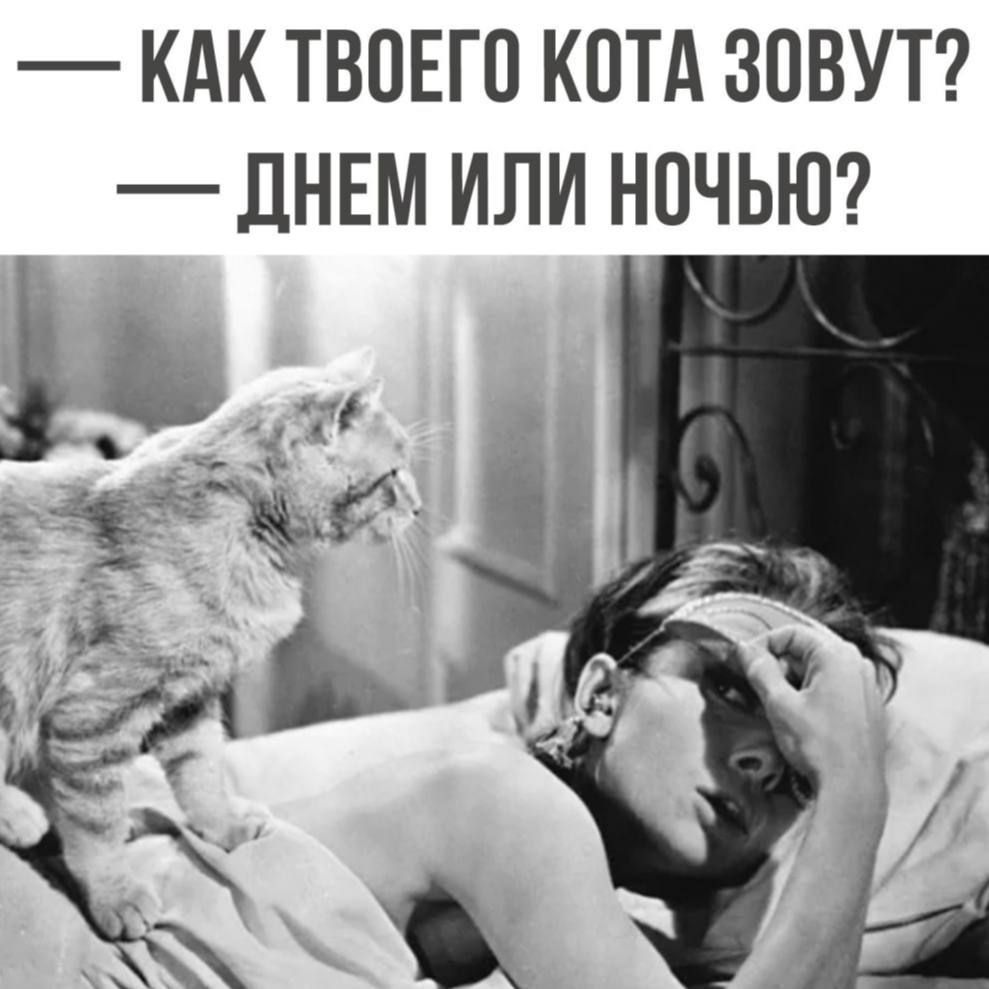 — КАК ТВОЕГО КОТА ЗОВУТ? — ДНЕМ ИЛИ НОЧЬЮ?