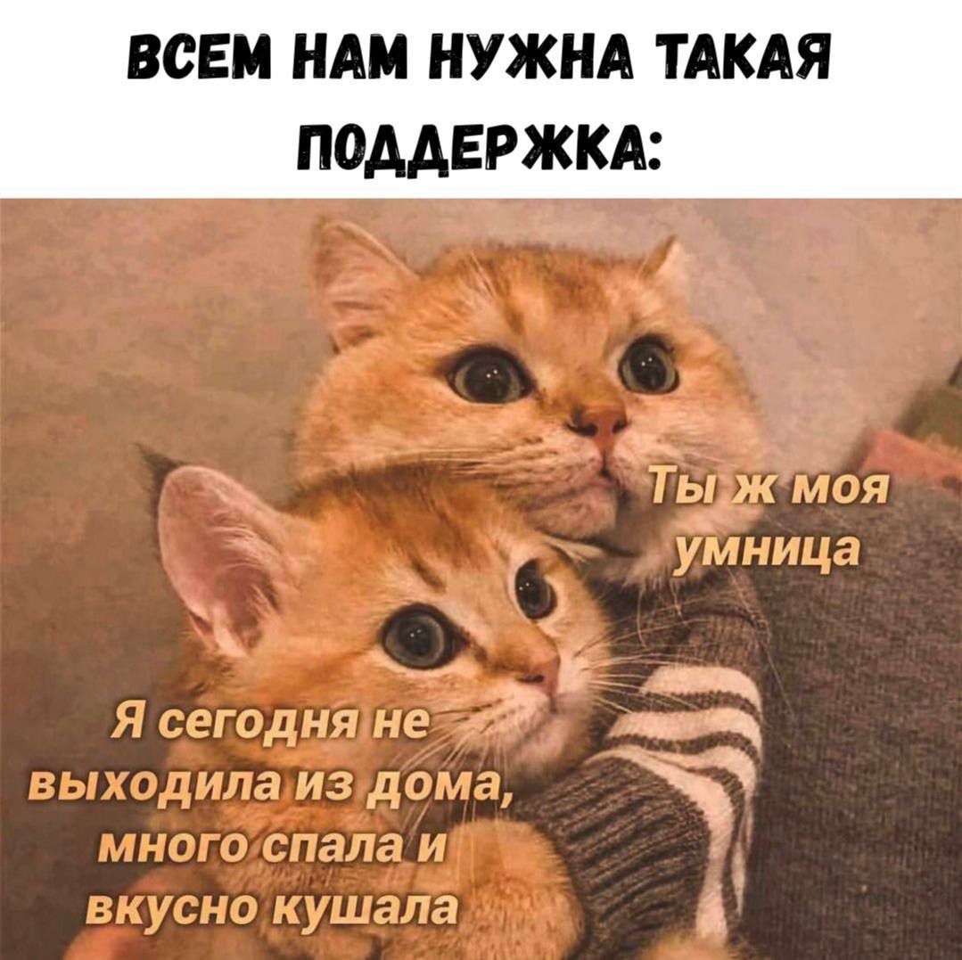 ВСЕМ НАМ НУЖНА ТАКАЯ ПОДДЕРЖКА:\nЯ сегодня не выходила из дома, много спала и вкусно кушала\nТы же моя умница