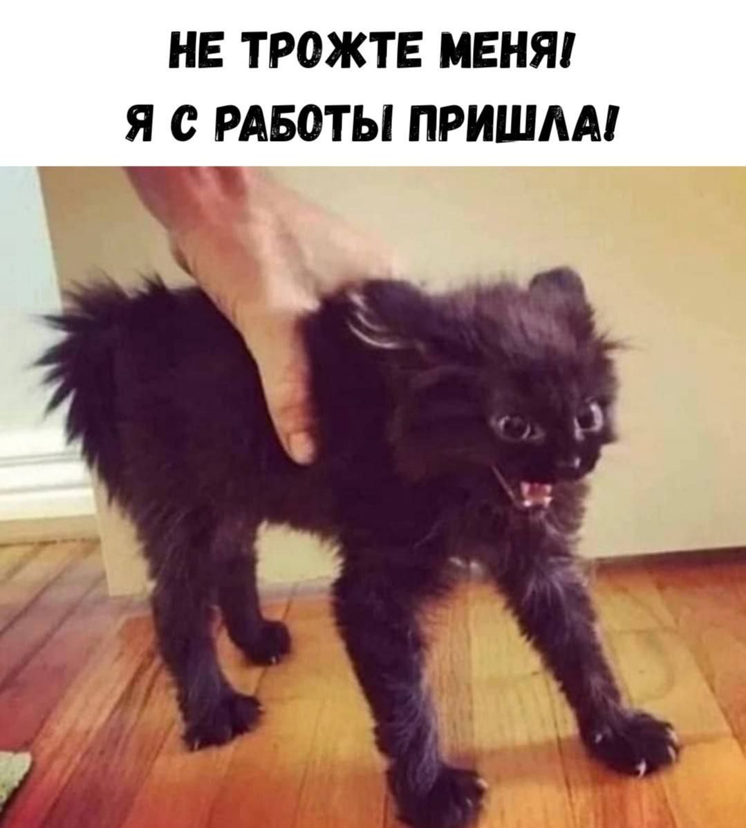 НЕ ТРОЖТЕ МЕНЯ Я С РАБОТЫ ПРИШЛА!