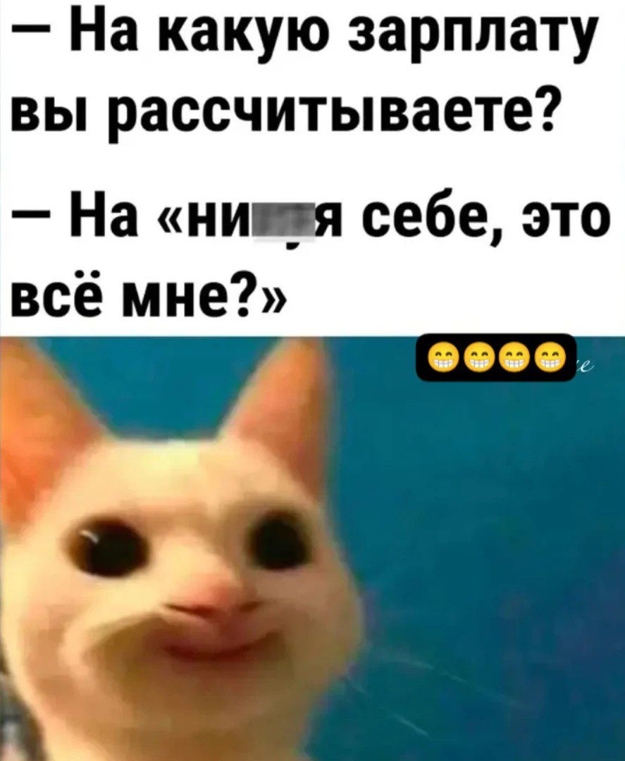 — На какую зарплату вы рассчитываете?
— На «нихуя себе, это всё мне?»