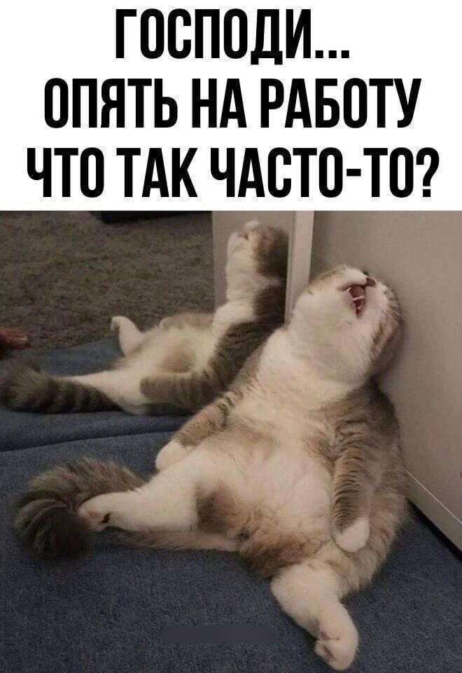 ГОСПОДИ... ОПЯТЬ НА РАБОТУ ЧТО ТАК ЧАСТО-ТО?
