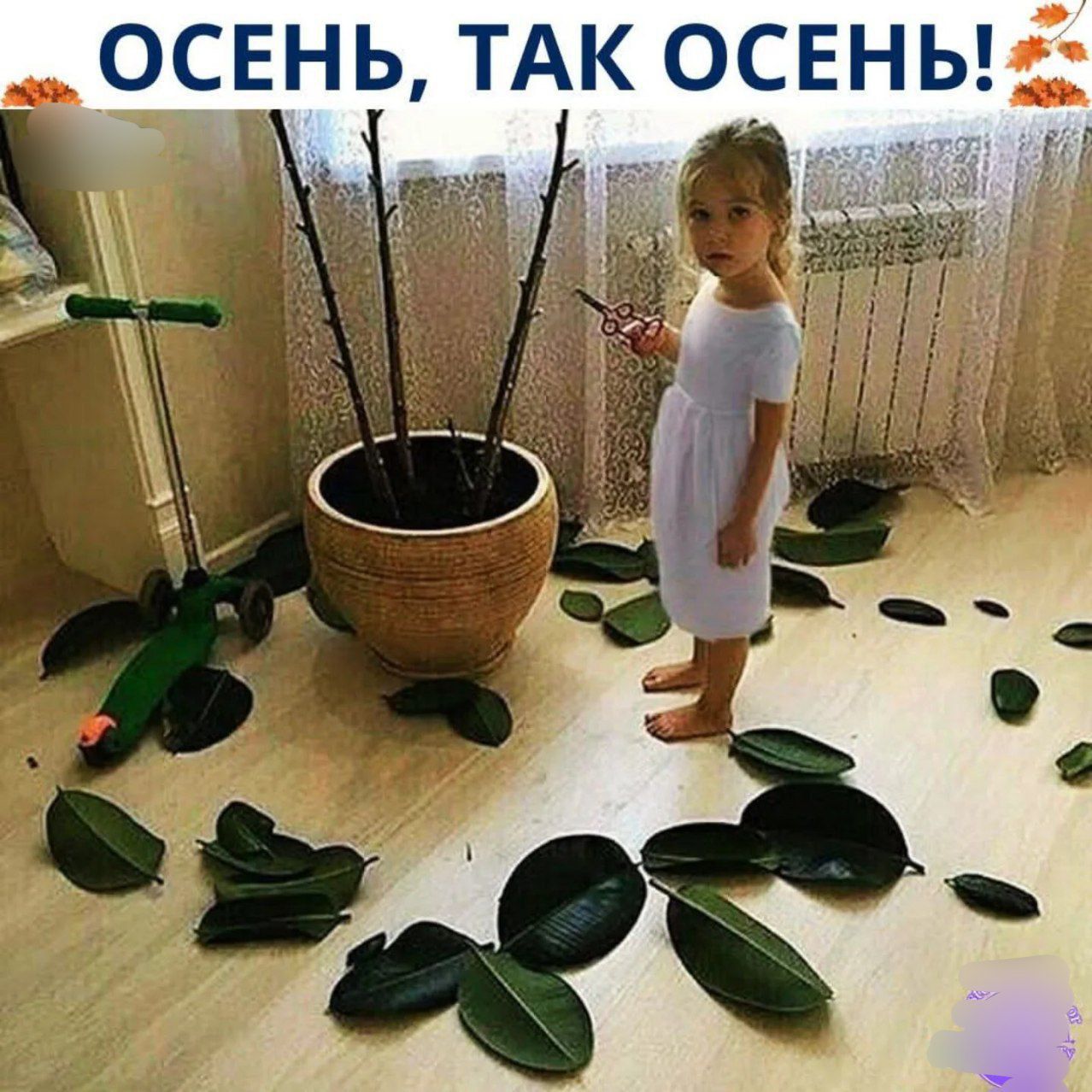 ОСЕНЬ, ТАК ОСЕНЬ!