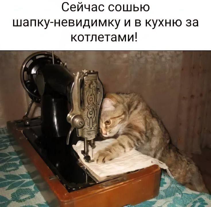 Сейчас сошью шапку-невидимку и в кухню за котлетами!
